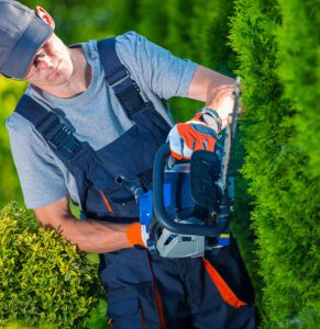 Hovenier in Leidschendam