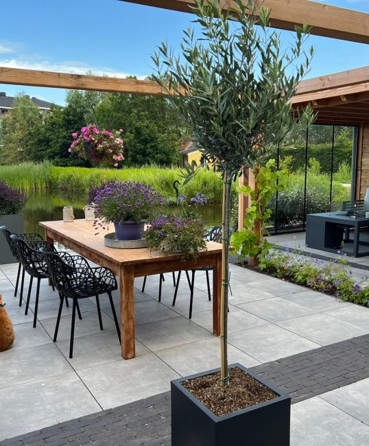 Hoe creëert u een klimaatbestendige tuin? Tips voor de toekomst